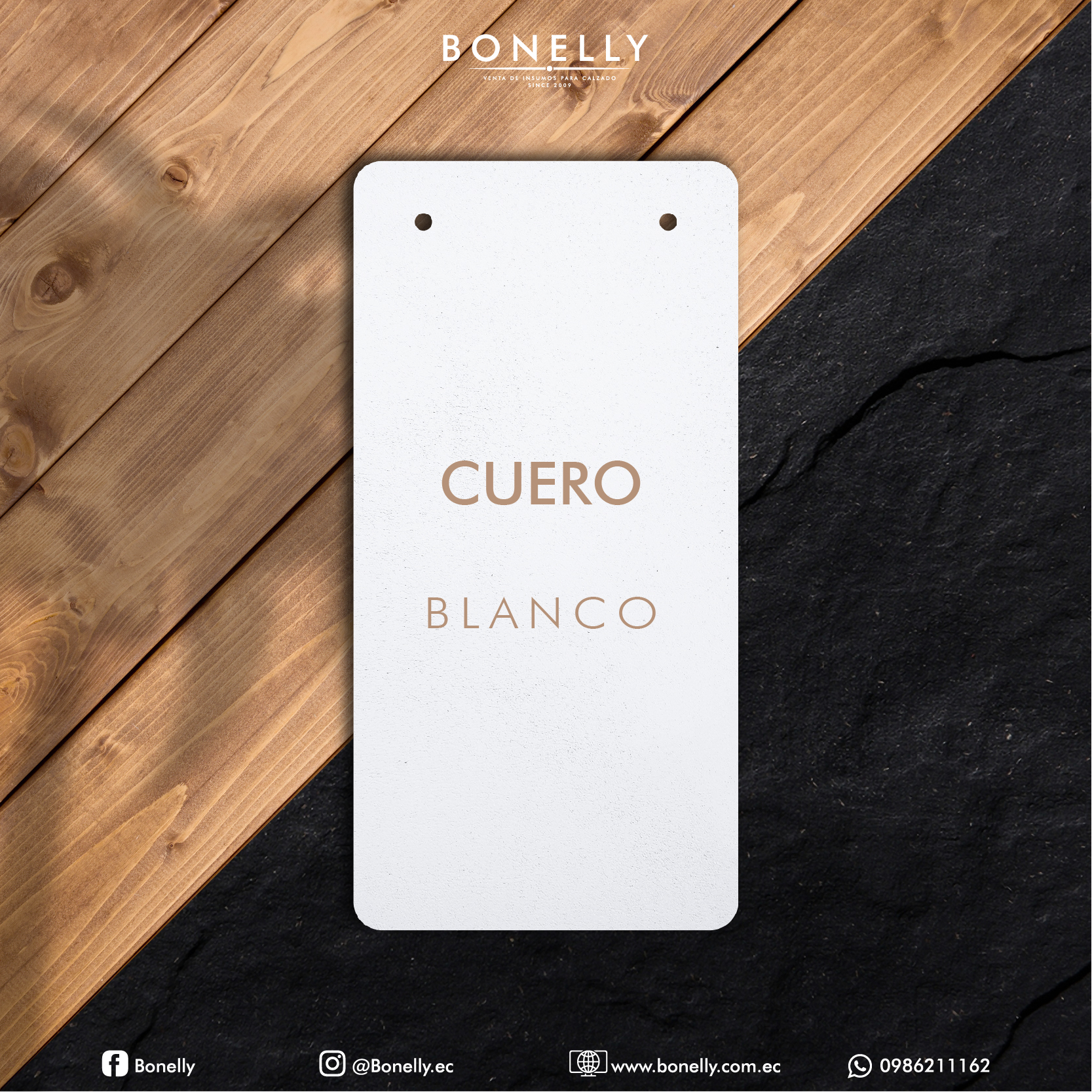 CUEROS_Mesa de trabajo 1